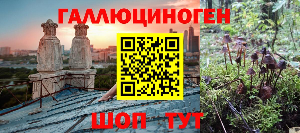 Псилоцибиновые грибы мицелий Ступино